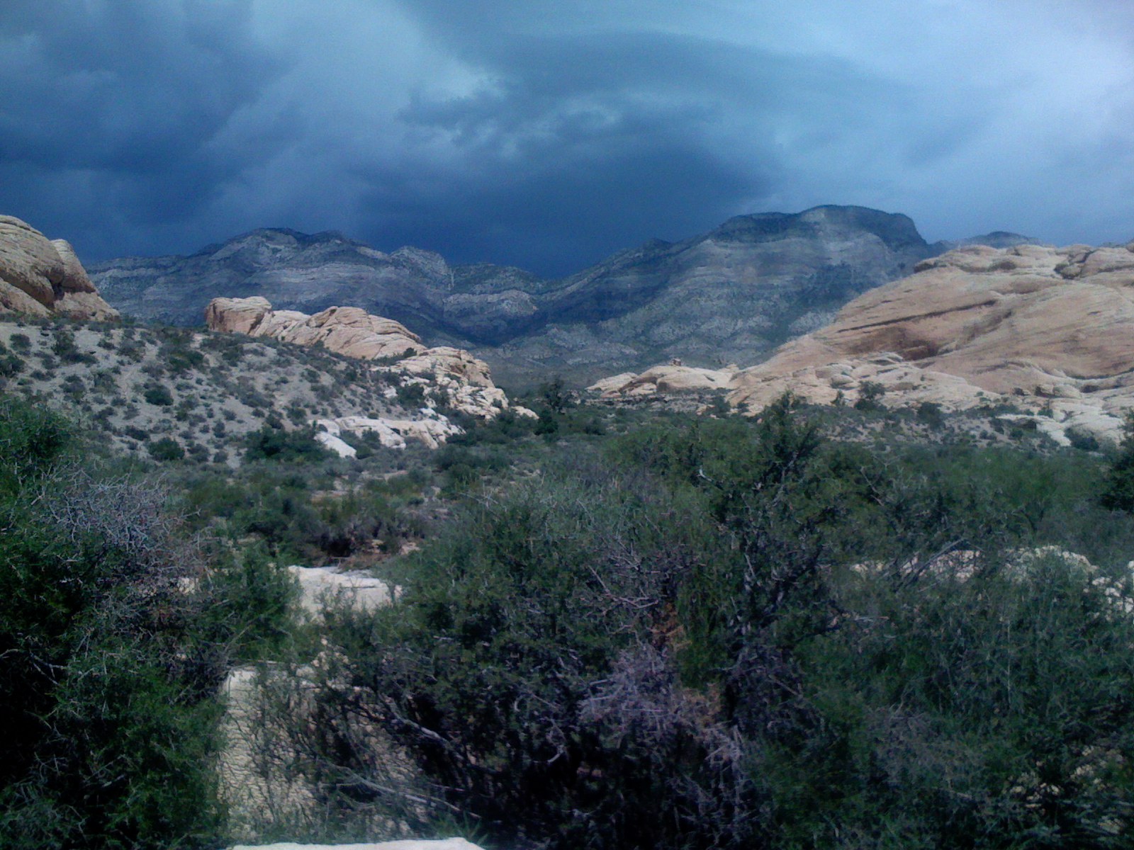 Vegas landscape